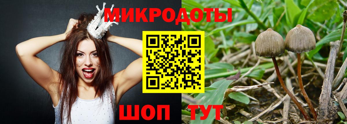 Галлюциногенные грибы Psilocybe  Вход с VPN  Урай 